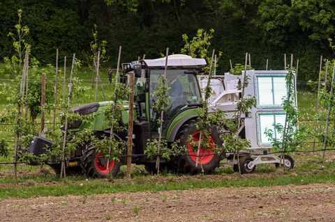 Das Landwirtschaftliche Technologiezentrum (LTZ) Augustenberg testet den UV-Booster. Foto: Uli Deck/dpa