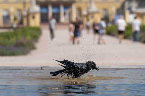 Ein Besuch im Schwimmbad oder am Badesee lohnt sich. Foto: Silas Stein/dpa