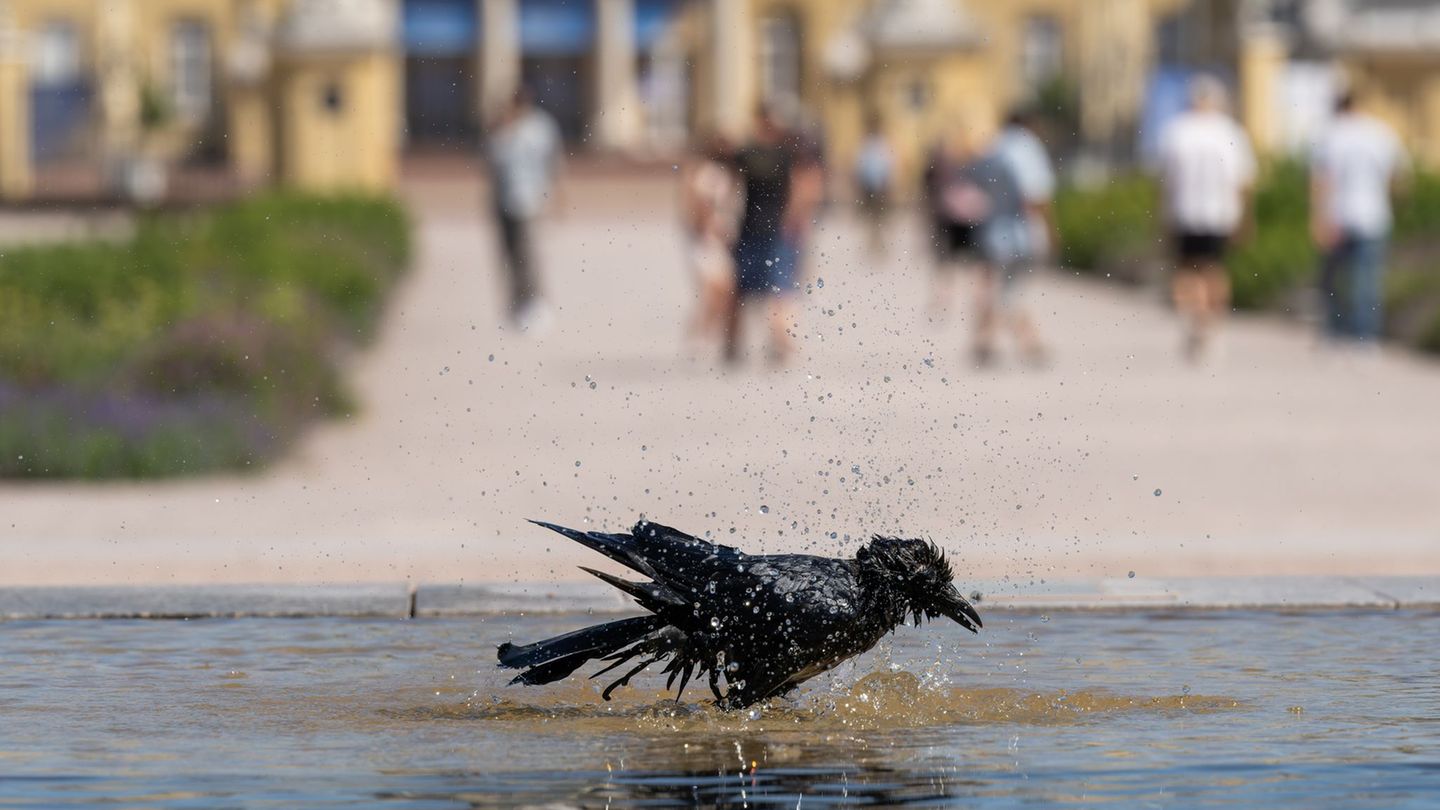 Ein Besuch im Schwimmbad oder am Badesee lohnt sich. Foto: Silas Stein/dpa