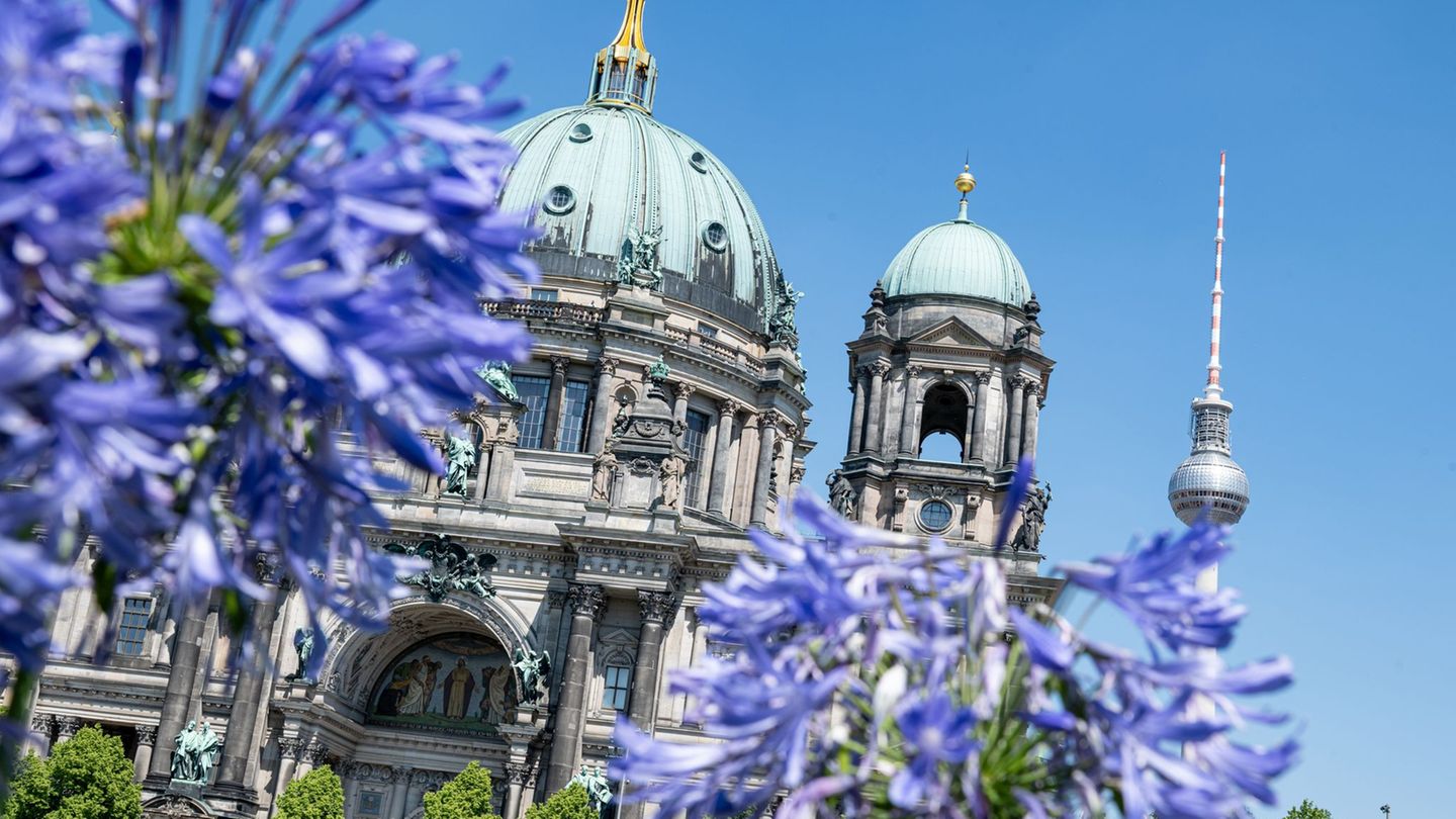 Das Sommerwetter hält weiter an in Berlin und Brandenburg. Foto: Fabian Sommer/dpa