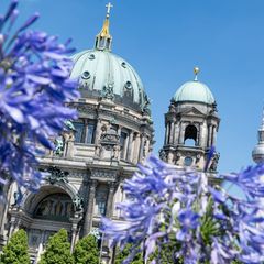 Das Sommerwetter hält weiter an in Berlin und Brandenburg. Foto: Fabian Sommer/dpa