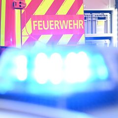 Drei Hunde streben bei einem Brand in Hoogstede. (Symbolbild) Foto: Bernd Weißbrod/dpa
