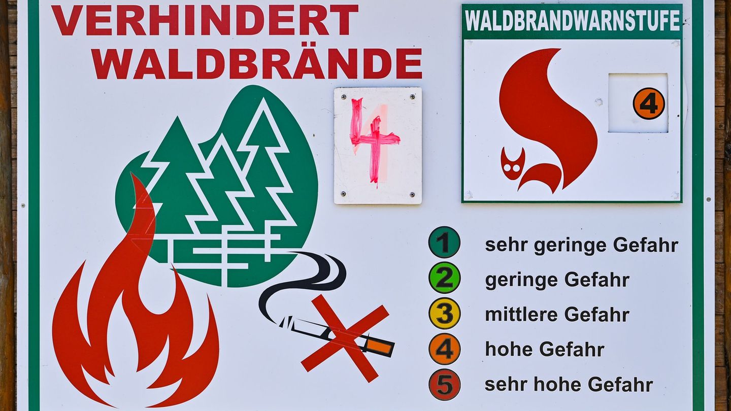 Waldbrandstufe 4 herrscht derzeit in vier Landkreisen im Süden Brandenburgs. Die Waldbrandzentralen sind besetzt, um frühzeitig