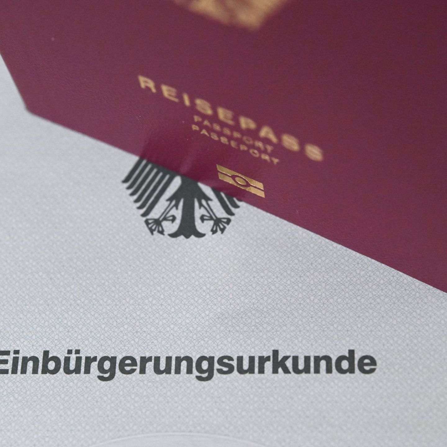 Die Zahl der Einbürgerungen ist zuletzt gestiegen. (Symbolbild) Foto: Marijan Murat/dpa