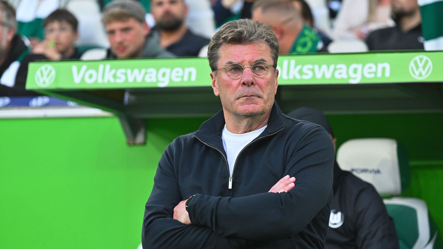 Trainer Dieter Hecking vom VfL Wolfsburg. Foto: Swen Pförtner/dpa