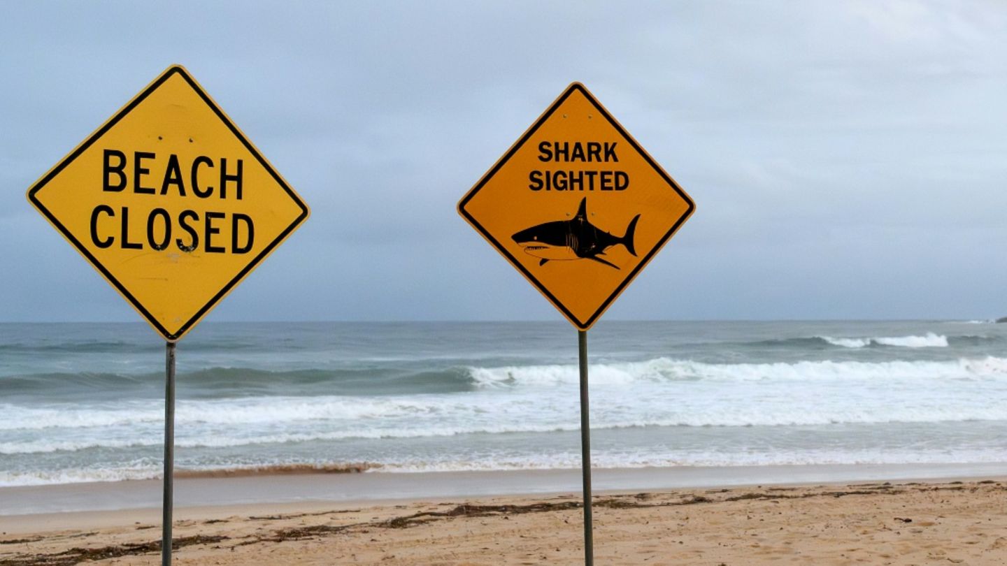 Warnung vor Haien an einem Strand