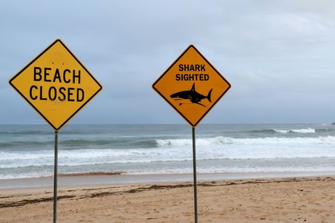 Warnung vor Haien an einem Strand