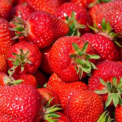 Erdbeeren verschwunden: Was wollen die Diebe gleich mit mehreren Kisten und warum blieb ein Teil der begehrten Früchte auf einem