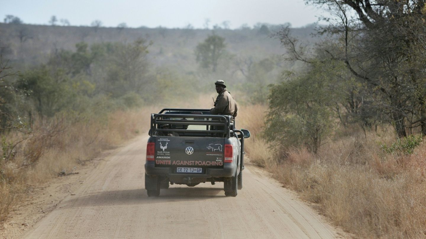 Ranger-Patrouille im Kruger-Park