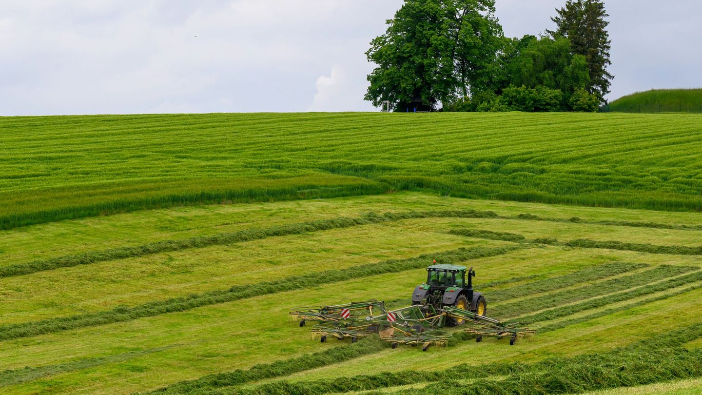 Regen und milde Temperaturen haben für gutes Wachstum auf Wiesen und Feldern in Sachsen gesorgt. Foto: Hendrik Schmidt/dpa