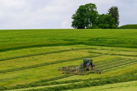 Regen und milde Temperaturen haben für gutes Wachstum auf Wiesen und Feldern in Sachsen gesorgt. Foto: Hendrik Schmidt/dpa