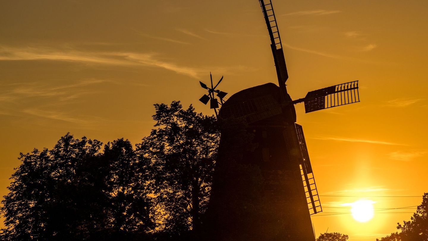 Die Turmholländermühle in Dörrwalde steht unter Denkmalschutz und ist beim Mühlentag dabei. Foto: Frank Hammerschmidt/dpa