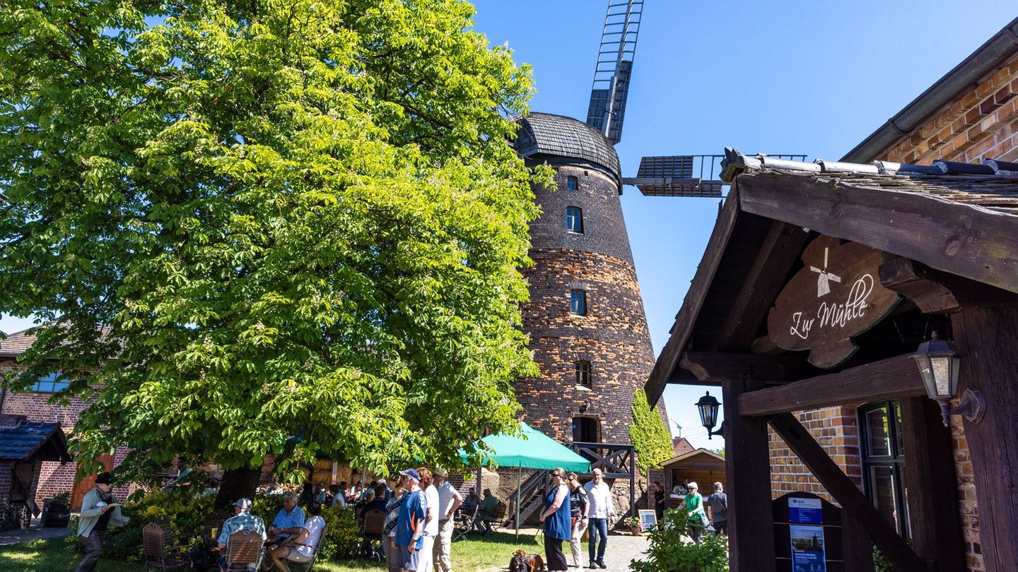 In der Dörrwalder Mühle gibt es Vorführungen des Müllerhandwerks. Foto: Frank Hammerschmidt/dpa