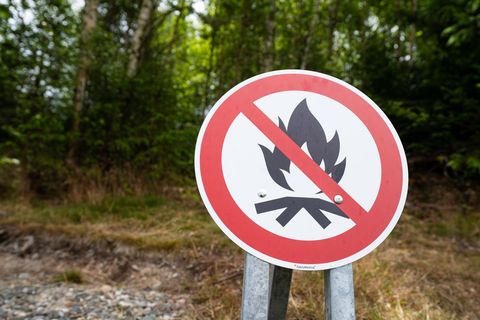 Die Waldbrandgefahr ist in vielen Regionen Bayerns hoch. (Symbolbild) Foto: Nicolas Armer/dpa