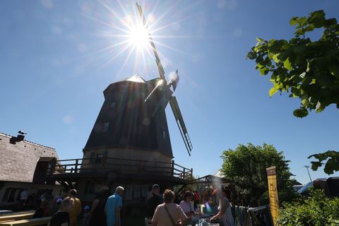 Die Knapp Mühle, eine Achtkant-Galerieholländer-Windmühle, öffnete zum Deutschen Mühlentag ihre Türen. Foto: Bodo Schackow/dpa