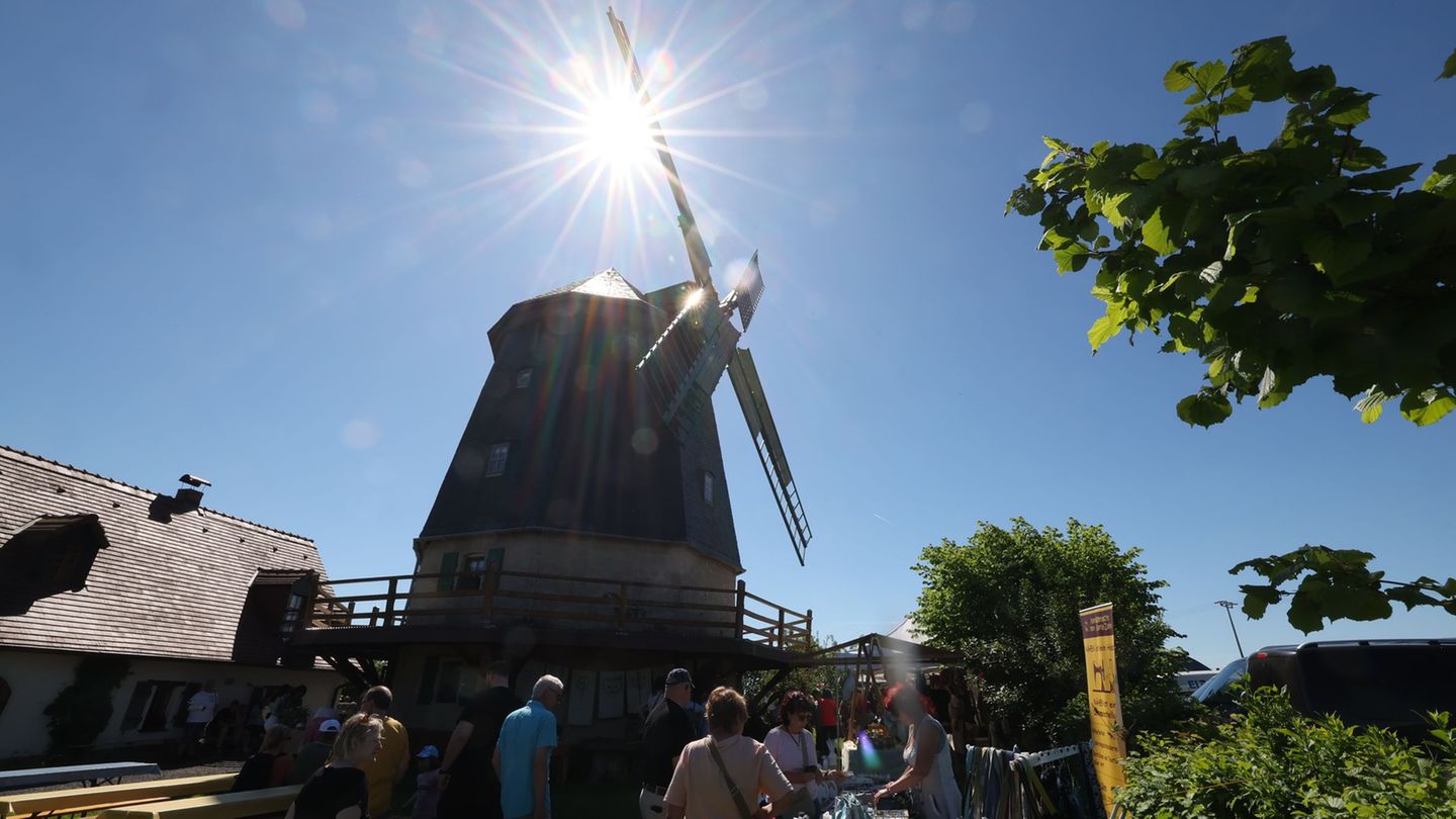 Die Knapp Mühle, eine Achtkant-Galerieholländer-Windmühle, öffnete zum Deutschen Mühlentag ihre Türen. Foto: Bodo Schackow/dpa