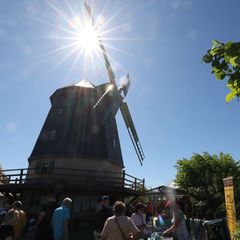 Die Knapp Mühle, eine Achtkant-Galerieholländer-Windmühle, öffnete zum Deutschen Mühlentag ihre Türen. Foto: Bodo Schackow/dpa