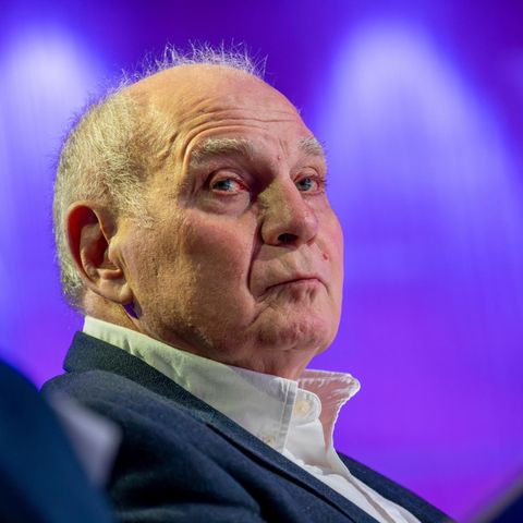 Streit um Hoeneß-These: Was, wenn die AfD sich beweisen müsste?