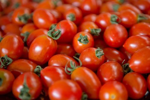 Tomaten werden tonnenweise angebaut. (Archivbild) Foto: picture alliance / dpa