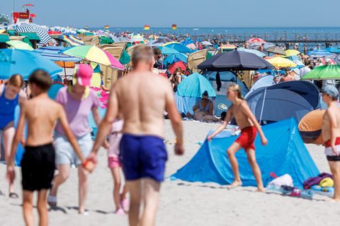 Bei Reisen von Eltern oder Großeltern mit Kindern steht Schleswig-Holstein hoch im Kurs. (Archivbild) Foto: Markus Scholz/dpa