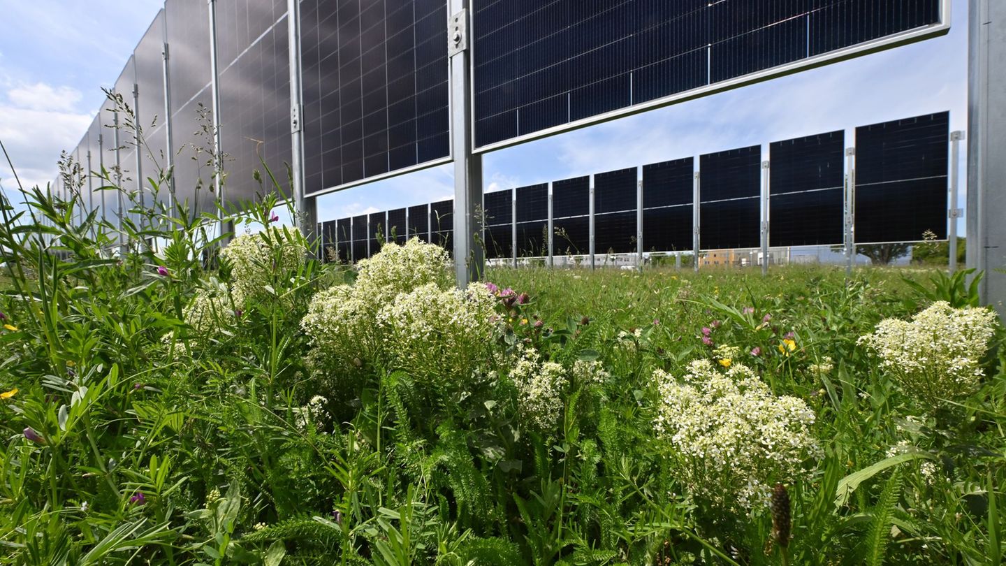 Wie kann Landwirtschaft und Energieerzeugung verbunden werden? - Testanlagen in Erfurt. Foto: Martin Schutt/dpa