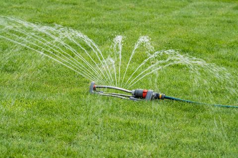 Die Stadtwerke rufen die Bürger zum Wassersparen auf. Auf das Bewässern von Rasen solle verzichtet werden. Foto: Silas Stein/dpa