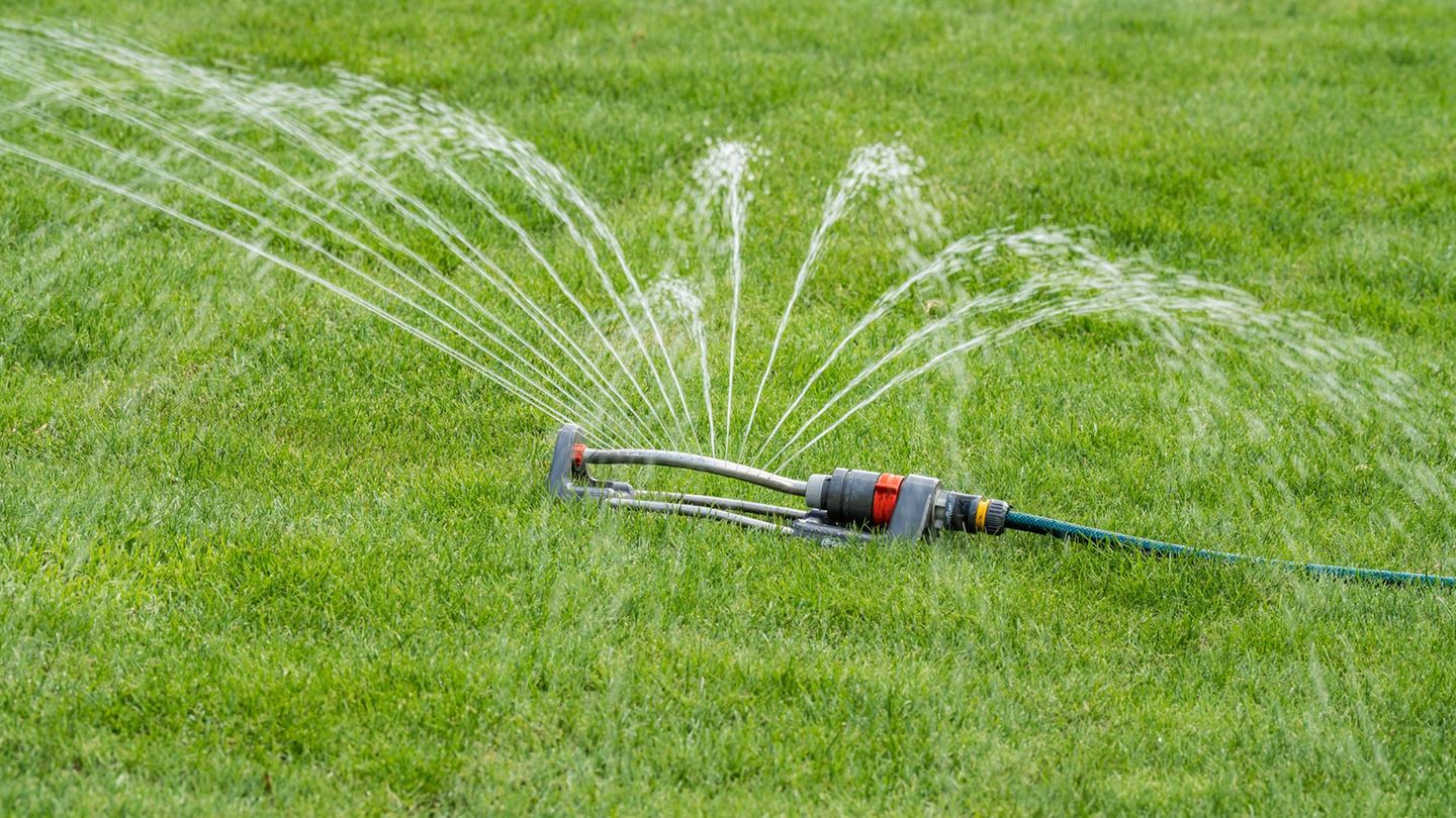 Die Stadtwerke rufen die Bürger zum Wassersparen auf. Auf das Bewässern von Rasen solle verzichtet werden. Foto: Silas Stein/dpa
