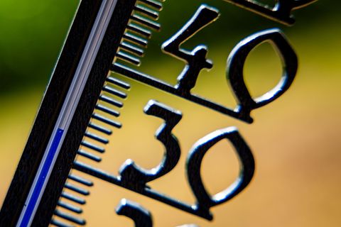 Das Hochsommergefühl geht weiter: Heute sind in Mitteldeutschland über 30 Grad möglich. (Symbolbild) Foto: Jens Büttner/dpa