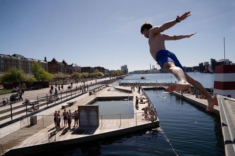 Eine Person springt ins Wasser: das ins Havnebadet Islands Brygge in Kopenhagen