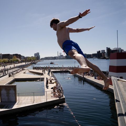 Eine Person springt ins Wasser: das ins Havnebadet Islands Brygge in Kopenhagen