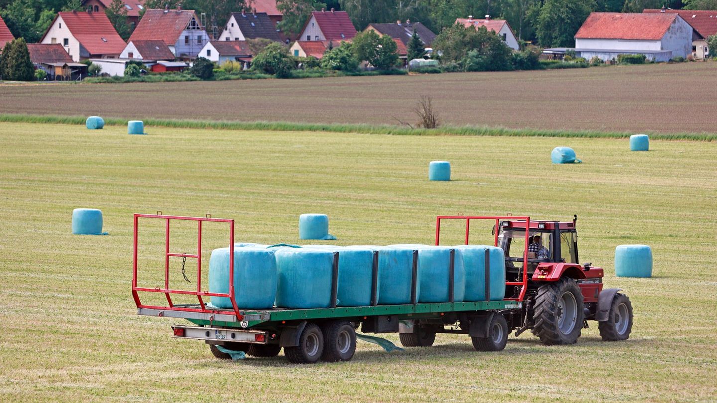 Beim Verladen von Heuballen auf einen Anhänger seines Traktors war der Mann überrollt worden. (Symbolbild) Foto: Matthias Bein/d