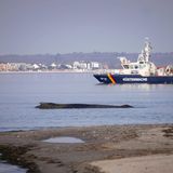Am 23. März strandet ein Buckelwal auf einer Sandbank vor dem Ostseebad Timmendorfer Strand. Eine Rinne wird ausgehoben, damit das Tier wieder in tieferes Gewässer gelangen kann.