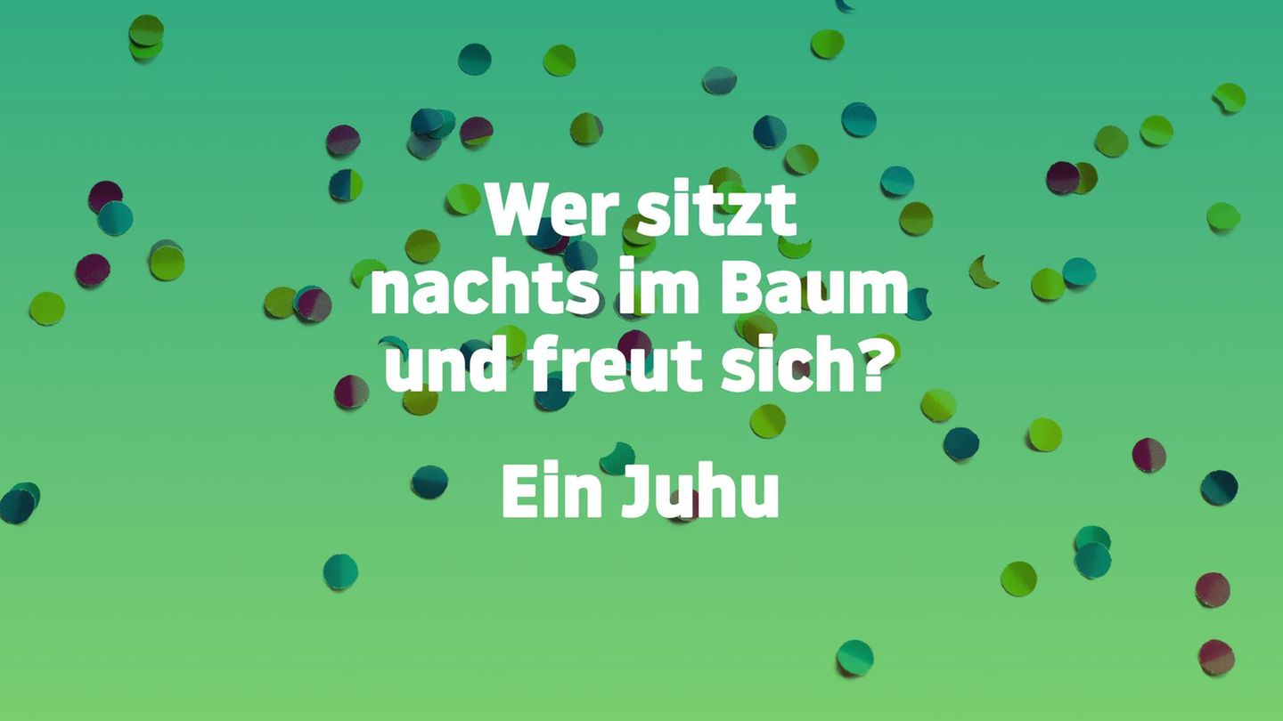 Schlimmer geht immer: Jetzt wird’s heftig: Diese 20 Flachwitze geben Ihnen den Rest