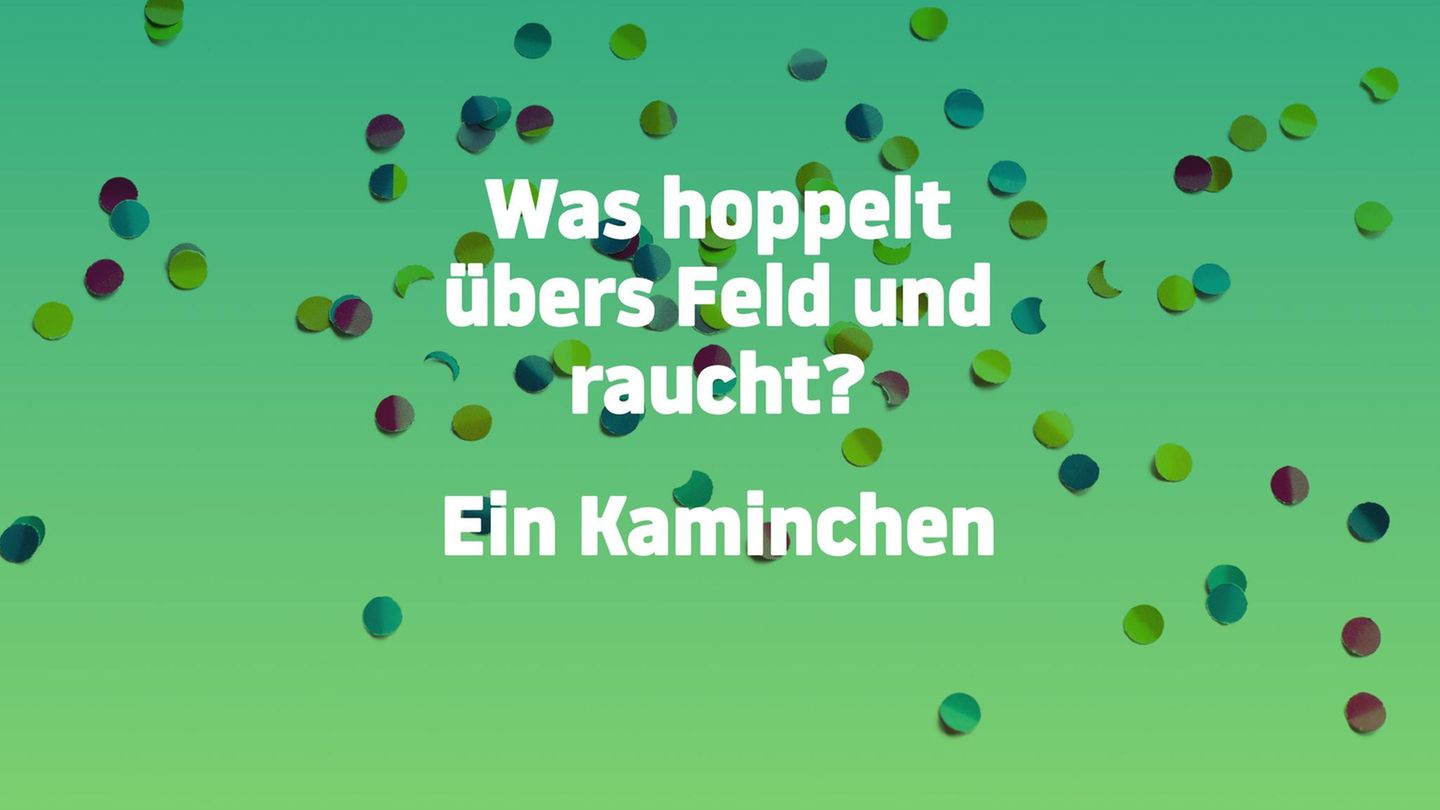 Schlimmer geht immer: Jetzt wird’s heftig: Diese 20 Flachwitze geben Ihnen den Rest