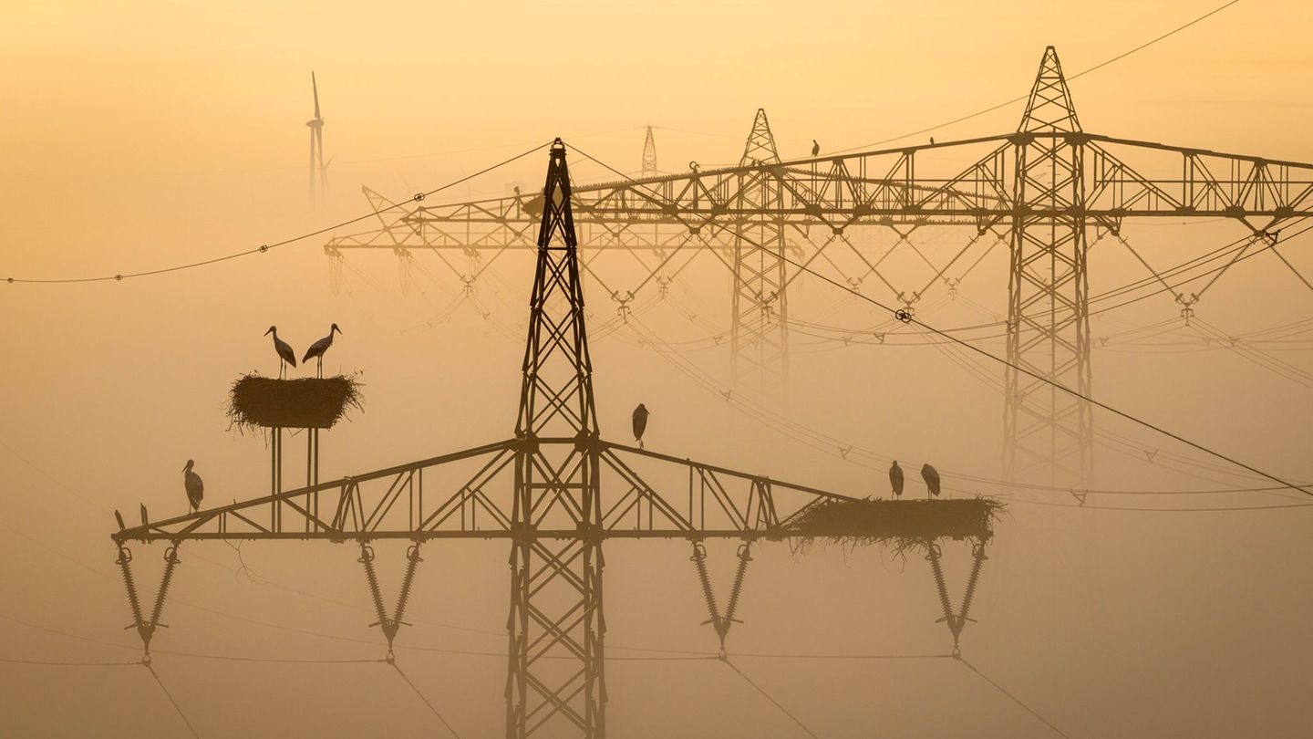 In und um München gab es schon häufiger Anschläge auf Energieanlagen. (Symbolbild) Foto: Sina Schuldt/dpa