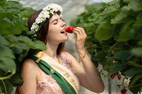 In Sachsen hat die Erdbeersaison begonnen – der Auftakt wurde auch mit der sächsische Blütenkönigin Alida-Nadine Kühne gefeiert.