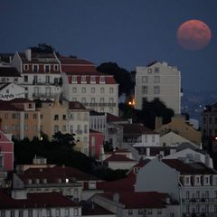 Die beiden in Portugal ausgesetzten französischen Kinder dürfen in ihre französische Heimat zurückkehren. (Symbolbild) Foto: Arm