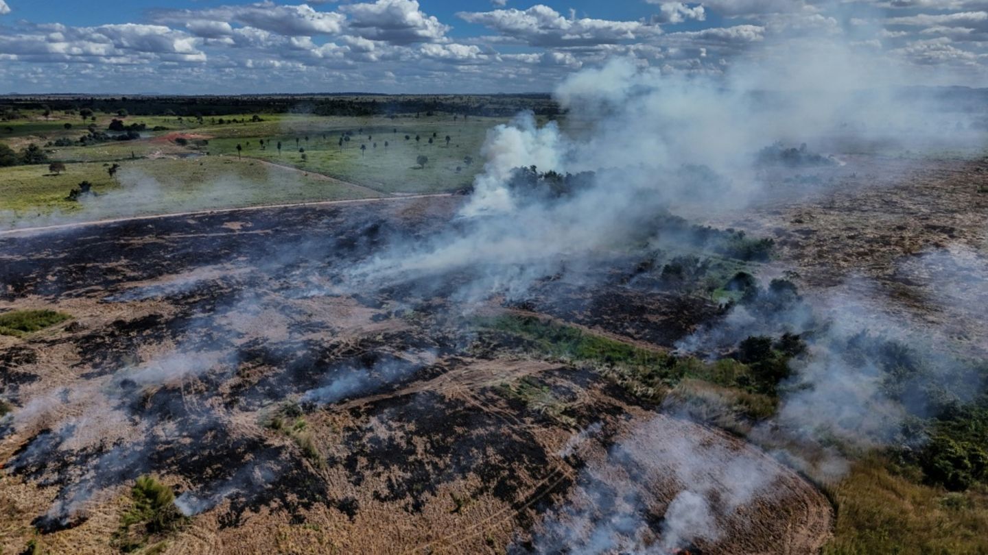 Brennendes Feld im Bundesstaat Para