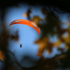 Ein Gleitschirmflieger wurde von seitlichen Windböen erfasst. (Symbolbild) Foto: Karl-Josef Hildenbrand/dpa
