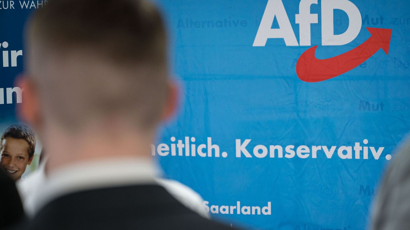 Ein AfD-Mitglied hat die Saarbrücker Stadtratswahl erfolgreich angefochten. (Symbolbild) Foto: Oliver Dietze/dpa