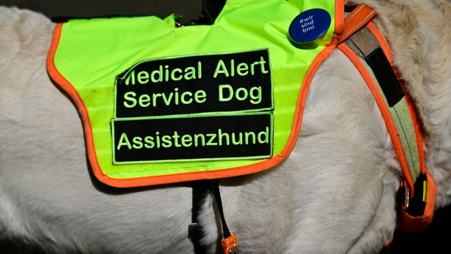 Medizinischer Assistenzhund