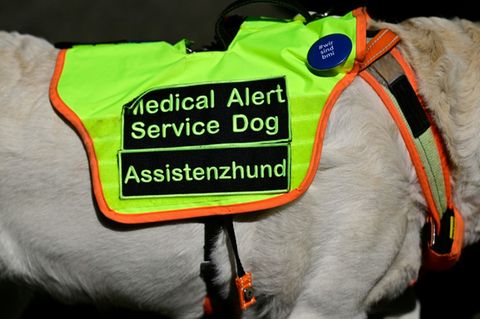 Medizinischer Assistenzhund