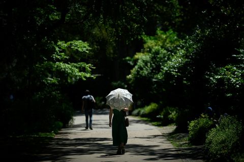 Spaziergang im Park