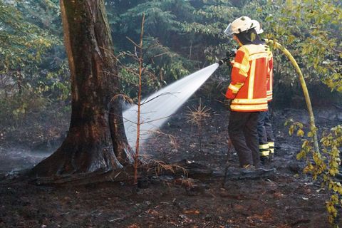 Die Feuerwehr ist nach Angaben ihres Verbands in Alarmbereitschaft.(Archiv) Foto: Waldemar Gress/Einsatz-Report24/dpa