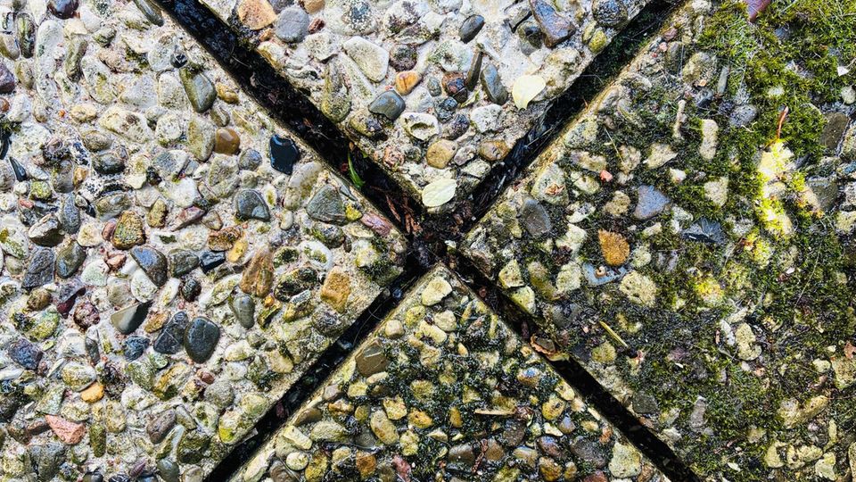 Waschbetonplatten mit Moosbefall