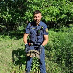Beamte nahmen das Tier mit zur Polizeiinspektion Ochsenfurt, nachdem die Schildkröte auf einem Fahrradweg bei Sommerhausen gefun