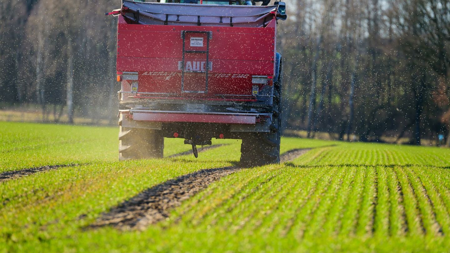 Stickstoffdünger in der EU war im April nach Angaben der EU-Kommission rund 70 Prozent teurer als im Durchschnitt 2024. (Symbolb