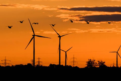 Niedersachsens Windenergiebranche fürchtet um den Wegbruch von Investitionen in Milliardenhöhe. (Symbolbild) Foto: Julian Strate