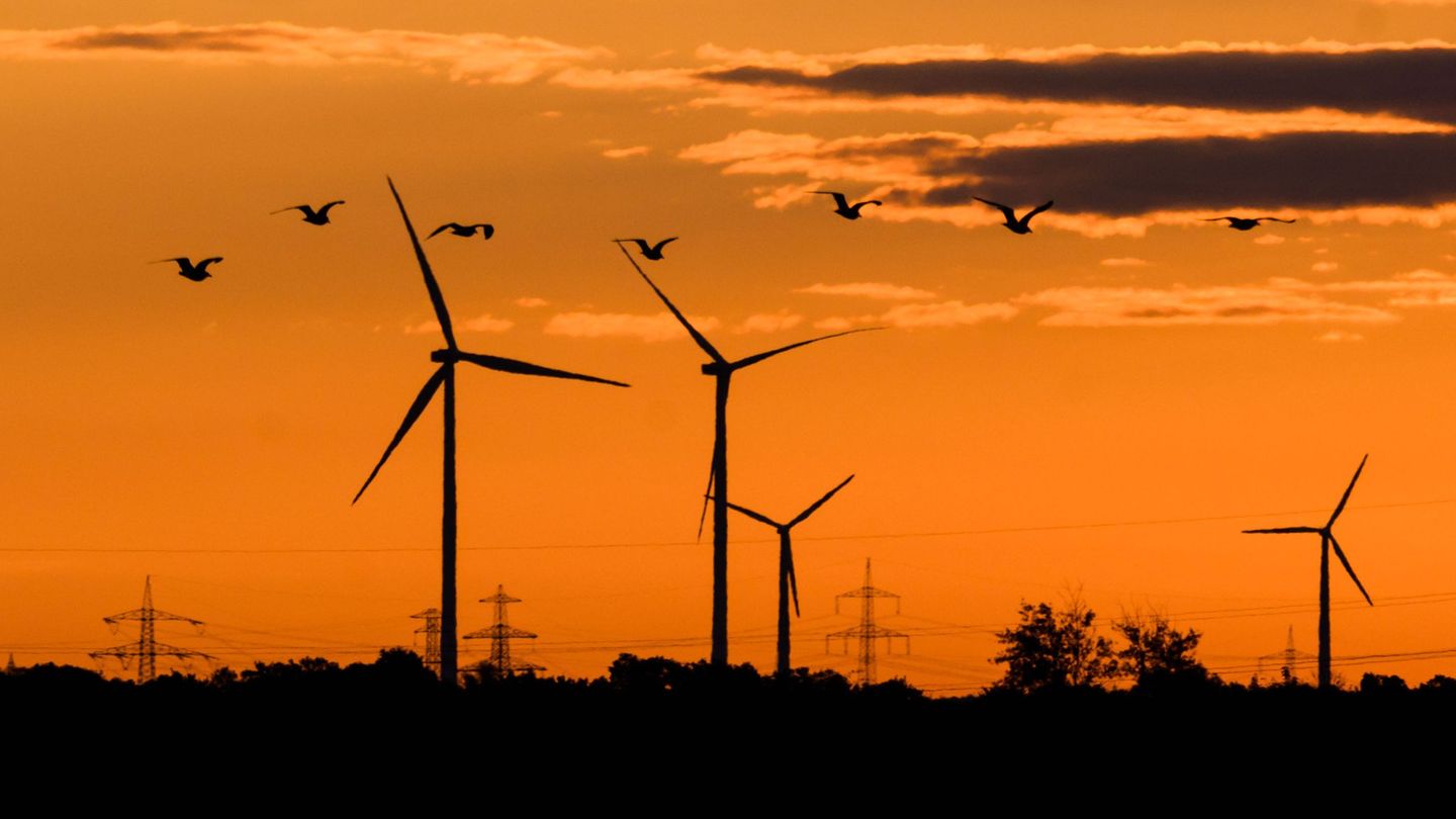 Niedersachsens Windenergiebranche fürchtet um den Wegbruch von Investitionen in Milliardenhöhe. (Symbolbild) Foto: Julian Strate