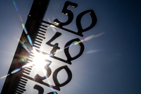 WMO: Der Hitzerekord von 2024 könnte schon bald fallen (Symbolbild) Foto: Jens Büttner/dpa